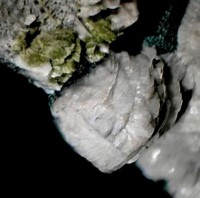/album/galerie-photos/souraide-epidote-prehnite-6155-mod2-jpg1/